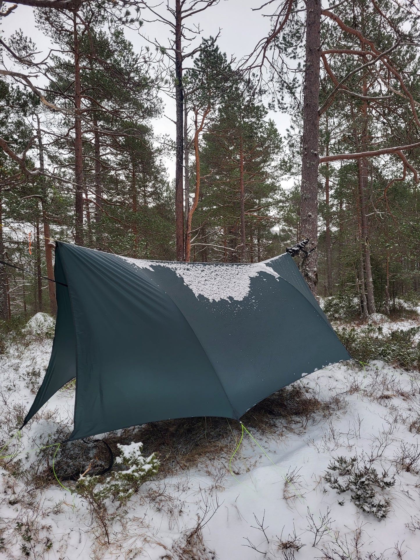 Winter Haven Tarp