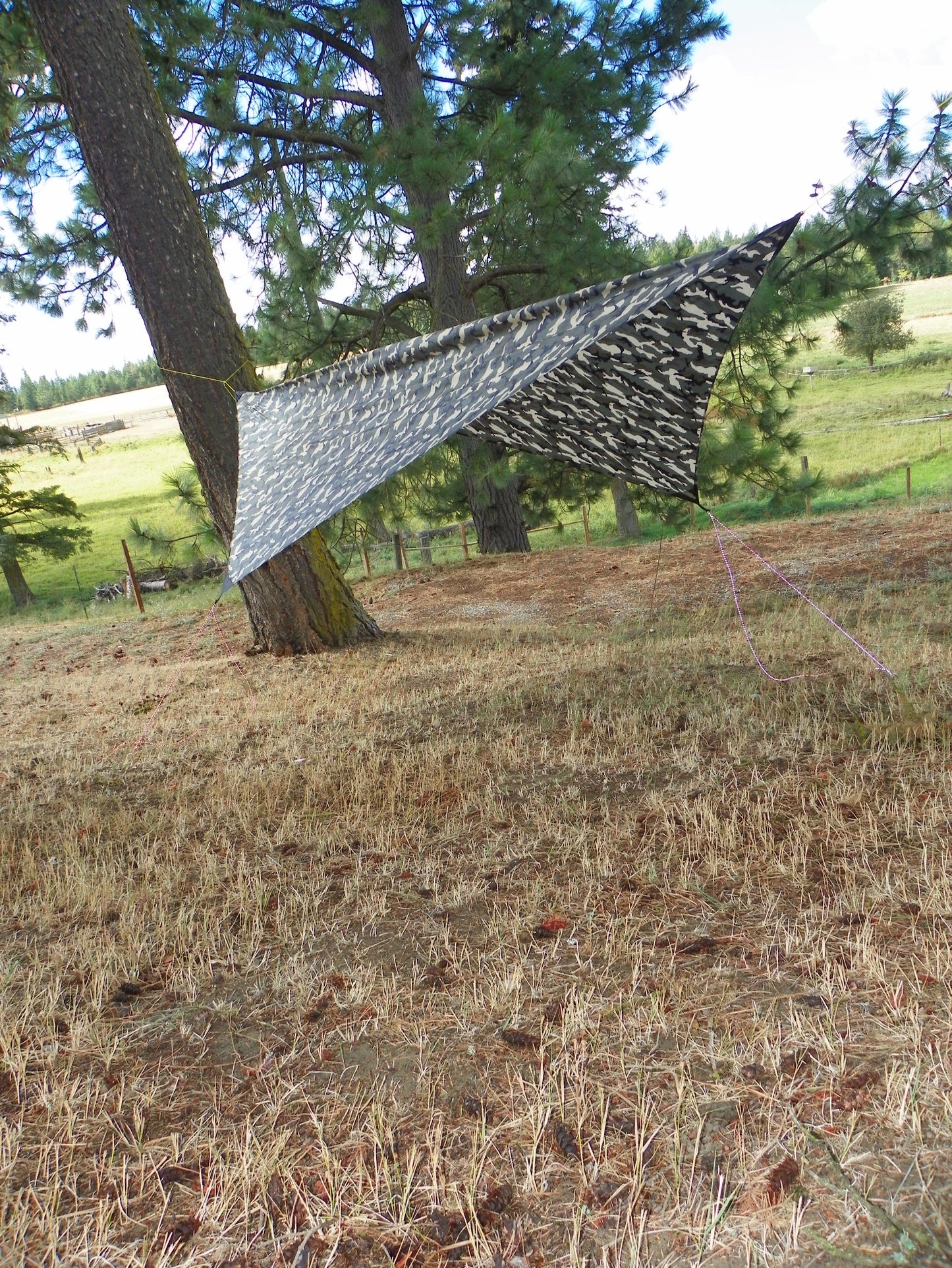 Asym Hammock Tarp - Xenon Sil 1.1 Fire Pattern Standard Length