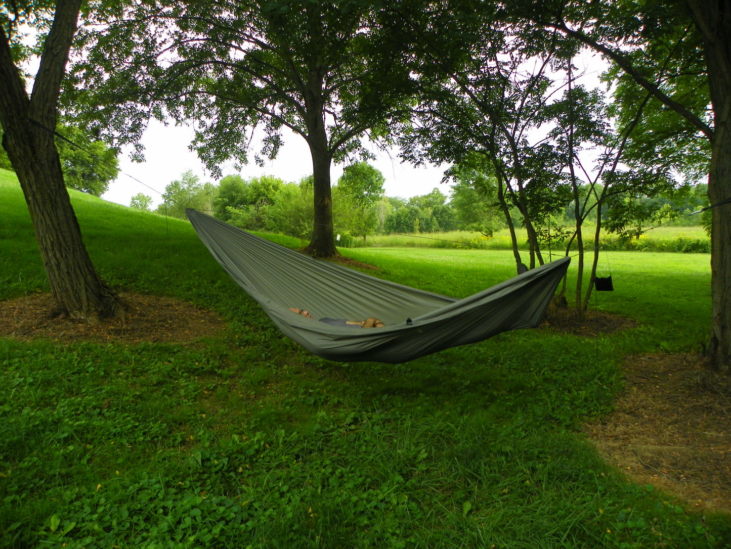 Tree Runner Hammock