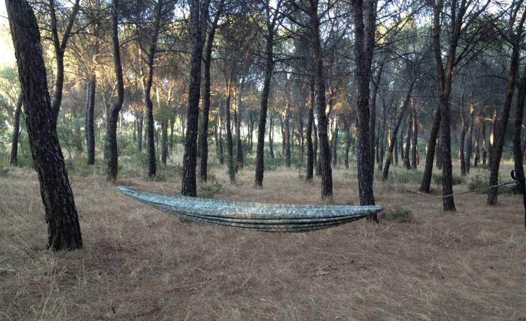Tree Runner Hammock
