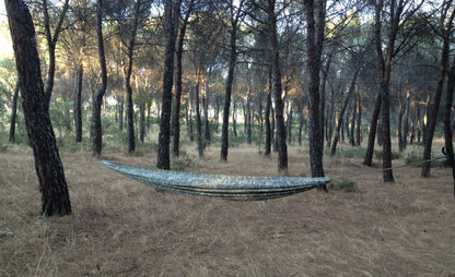 Tree Runner Hammock