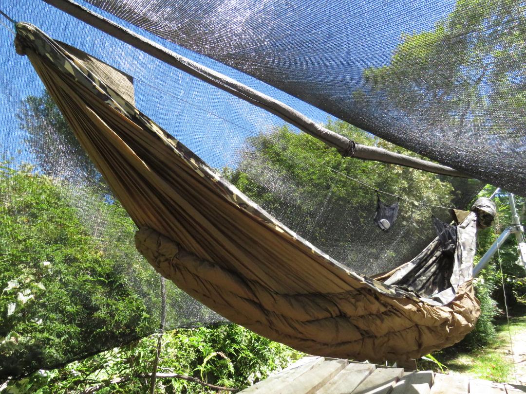Voyageur Backpacking  Hammock